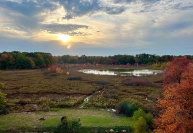 (private lake, pond, creek) Acreage For Sale in Decatur Michigan