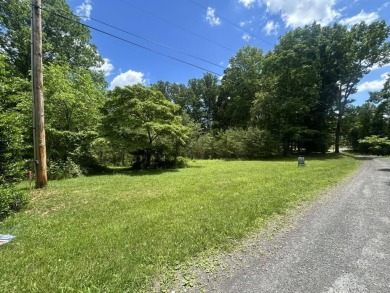 Lake Lot For Sale in Hardy, Virginia