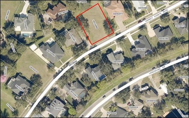 Beautiful oversized homesite in one of Clermont's most exclusive - photo 3
