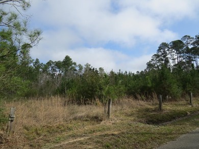 8 waterfront lots with a bulkhead and dock! 200 feet of - photo 1