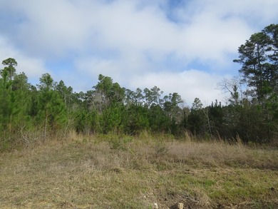8 waterfront lots with a bulkhead and dock! 200 feet of - photo 2