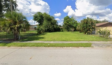 For sale: Vacant land lot close to downtown and near US-75 - photo 1