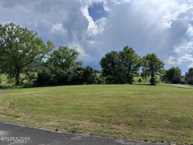 Lake Lot For Sale in Sharps Chapel, Tennessee