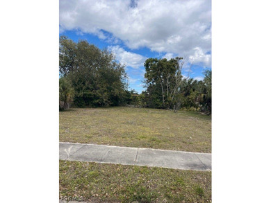 For sale: Vacant land lot close to downtown and near US-75 - photo 2