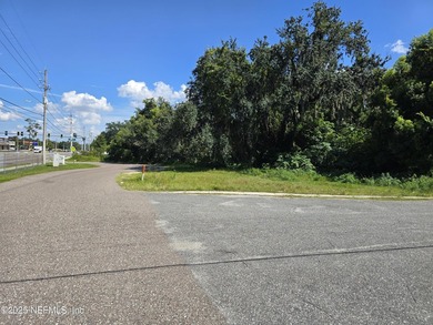 Prime commercial lot on busy 103rd Street! This .79-acre - photo 7