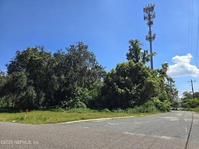 Prime commercial lot on busy 103rd Street! This .79-acre - photo 9