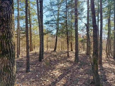 Lake Acreage For Sale in Quitman, Arkansas