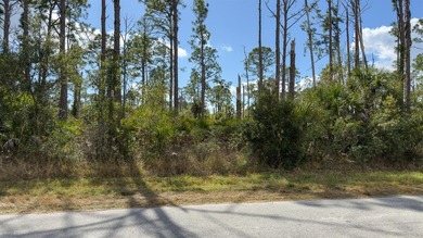 Build your Florida dream home on this prime residential lot - photo 11