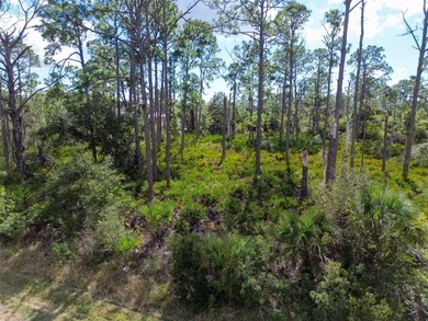 Build your Florida dream home on this prime residential lot - photo 12