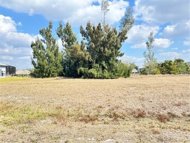 This is the LEAST expensive GULF ACCESS lot in ALL of Cape - photo 3