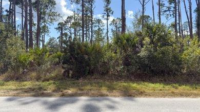 Build your Florida dream home on this prime residential lot - photo 13