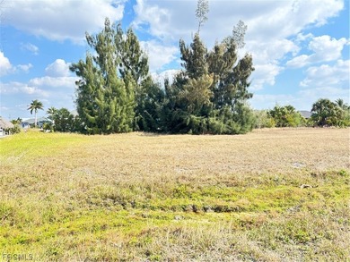 This is the LEAST expensive GULF ACCESS lot in ALL of Cape - photo 4