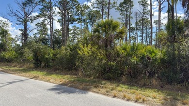 Build your Florida dream home on this prime residential lot - photo 14
