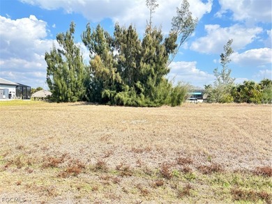 This is the LEAST expensive GULF ACCESS lot in ALL of Cape - photo 5