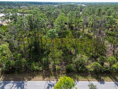 Build your Florida dream home on this prime residential lot - photo 15