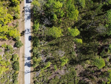 Build your Florida dream home on this prime residential lot - photo 16