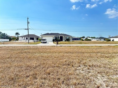 This is the LEAST expensive GULF ACCESS lot in ALL of Cape - photo 7