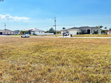 This is the LEAST expensive GULF ACCESS lot in ALL of Cape - photo 8