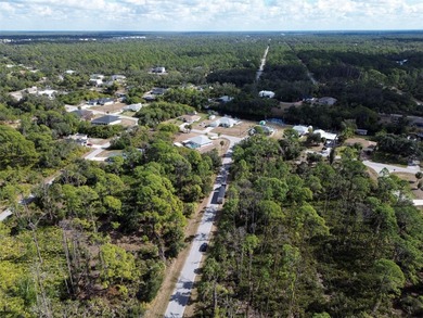 Build your Florida dream home on this prime residential lot - photo 18