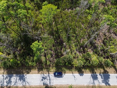 Build your Florida dream home on this prime residential lot - photo 20