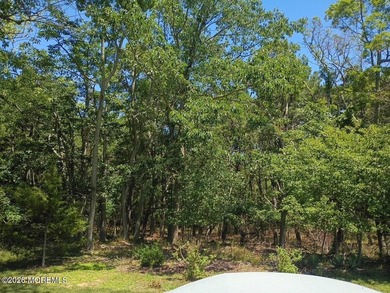 Welcome to your peaceful retreat on a calm street where privacy - photo 20
