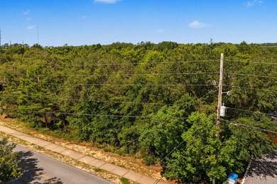 Build your dream home on this oversized vacant lot. Located just - photo 4