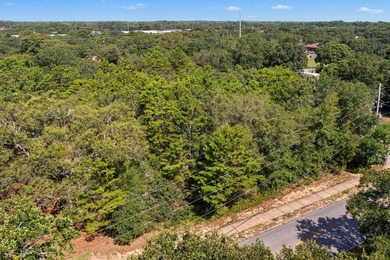 Build your dream home on this oversized vacant lot. Located just - photo 6