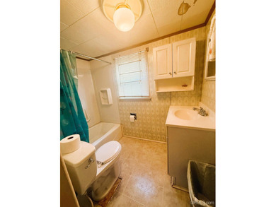 This 3-bedroom 2 bath home is just waiting for a new owner to - photo 7