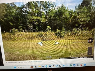 VALUABLE LOT. IT IS UNCLEARED. THE SIGN WILL BE UP NEXT WEEK - photo 2