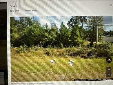 VALUABLE LOT. IT IS UNCLEARED. THE SIGN WILL BE UP NEXT WEEK - photo 3