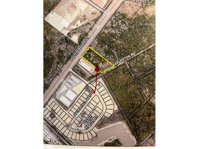 VALUABLE LOT. IT IS UNCLEARED. THE SIGN WILL BE UP NEXT WEEK - photo 4