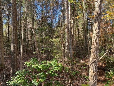 Lake Sam Rayburn  Lot For Sale in Huntington Texas