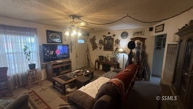 This charming 2 bed, 1 bath home sits on a quiet Lake Isabella - photo 6