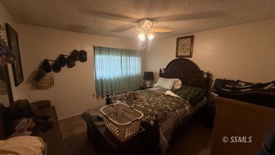 This charming 2 bed, 1 bath home sits on a quiet Lake Isabella - photo 9