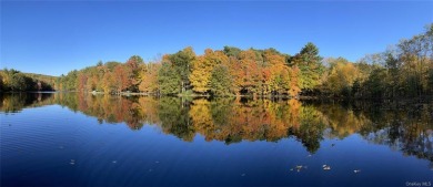 (private lake, pond, creek) Home Sale Pending in Deerpark New York