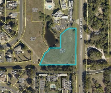 Lehigh Acres Area Lot For Sale in Lehigh Acres Florida