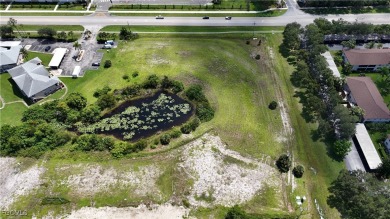 Fantastic opportunity to develop a multifamily project of up to - photo 9