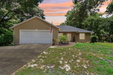 (private lake, pond, creek) Home For Sale in Sorrento Florida