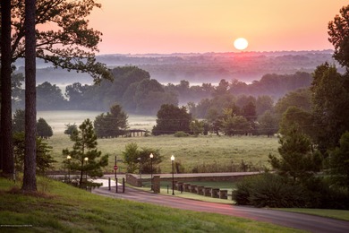 (private lake, pond, coastal) Lot For Sale in Hernando Mississippi