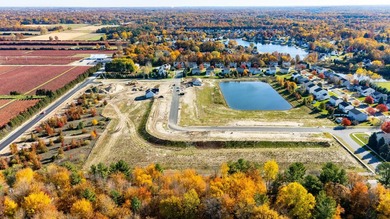 (private lake, pond, creek) Lot For Sale in Holland Michigan