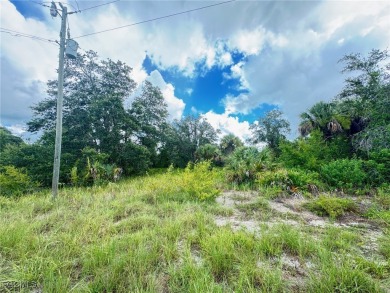 Lehigh Acres Area Lot For Sale in Lehigh Acres Florida