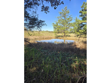 (private lake, pond, creek) Acreage For Sale in Birch Tree Missouri