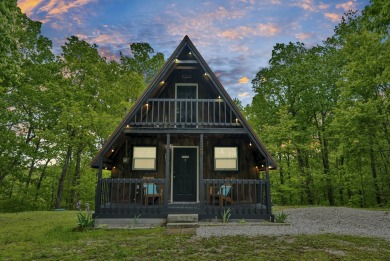Lake Home For Sale in Wellington, Kentucky