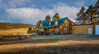 Lake Home Off Market in Eagle Nest, New Mexico