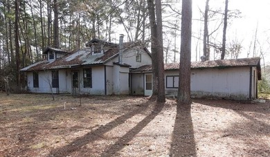 Lake Sam Rayburn  Home For Sale in Etoile Texas