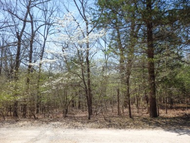 Bull Shoals Lake Acreage For Sale in Theodosia Arkansas