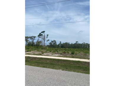 Rotonda West Lakes and Canals Acreage For Sale in Other City - In The State Of Florida Florida