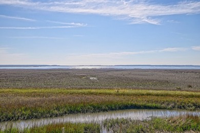 Situated along a stunning tidal creek overlooking Copahee Sound - photo 5