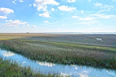 Situated along a stunning tidal creek overlooking Copahee Sound - photo 7