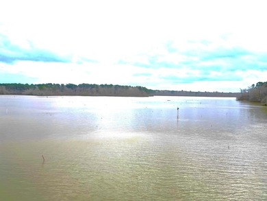 Toledo Bend Lake Acreage For Sale in Hemphill Texas